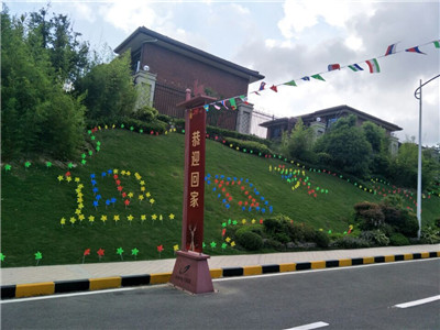 案例展示 案例展示